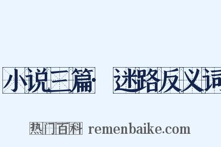 小说三篇·迷路反义词是什么意思的图片